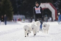 Lenzerheide 2013